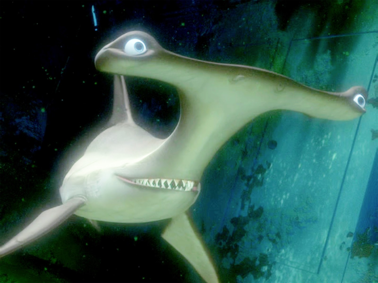 Hammerhead Shark Nemo Images Galleries With A Bite!