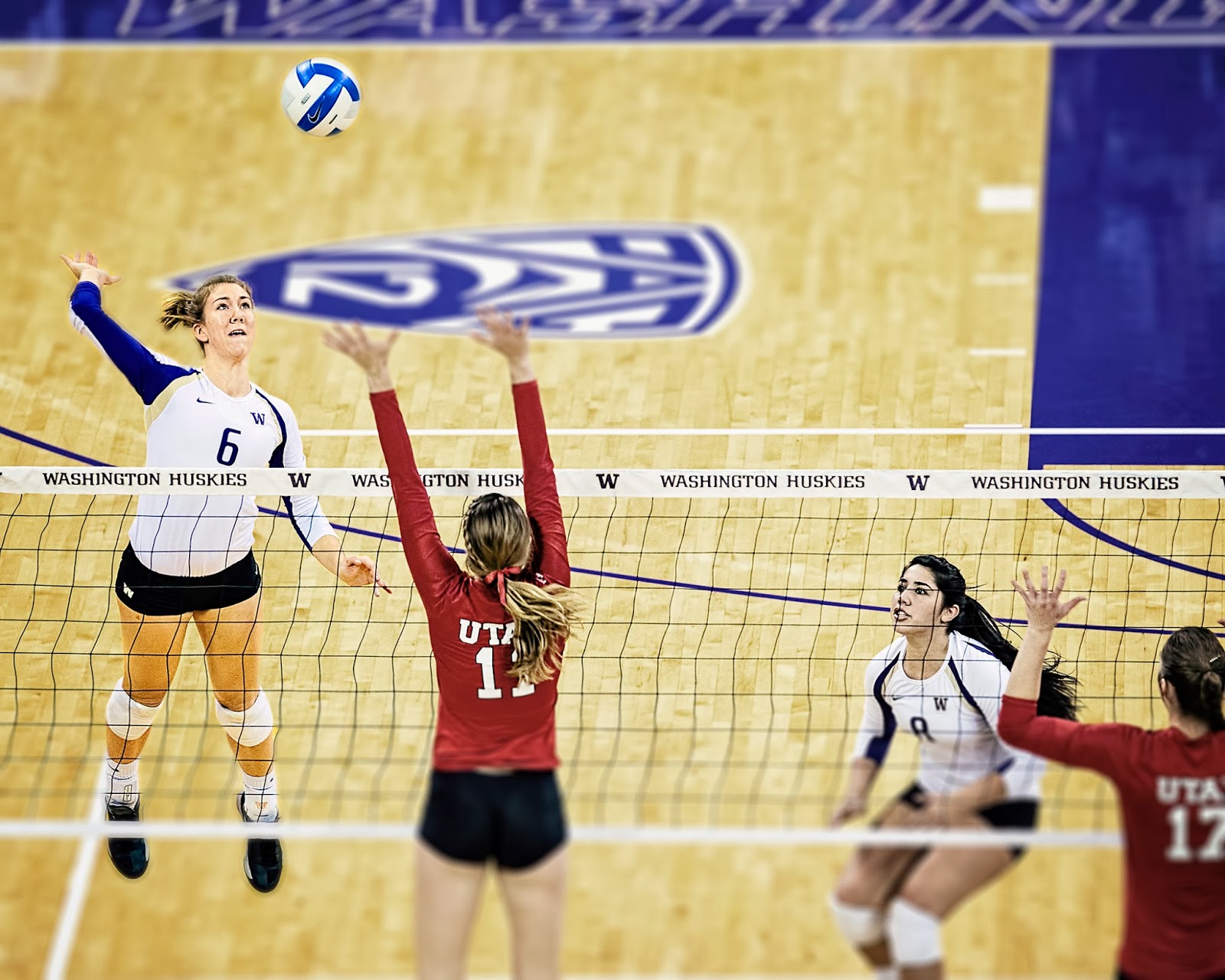 Volleyblog Seattle: Pac 12 | What we learned from Washington volleyball ...