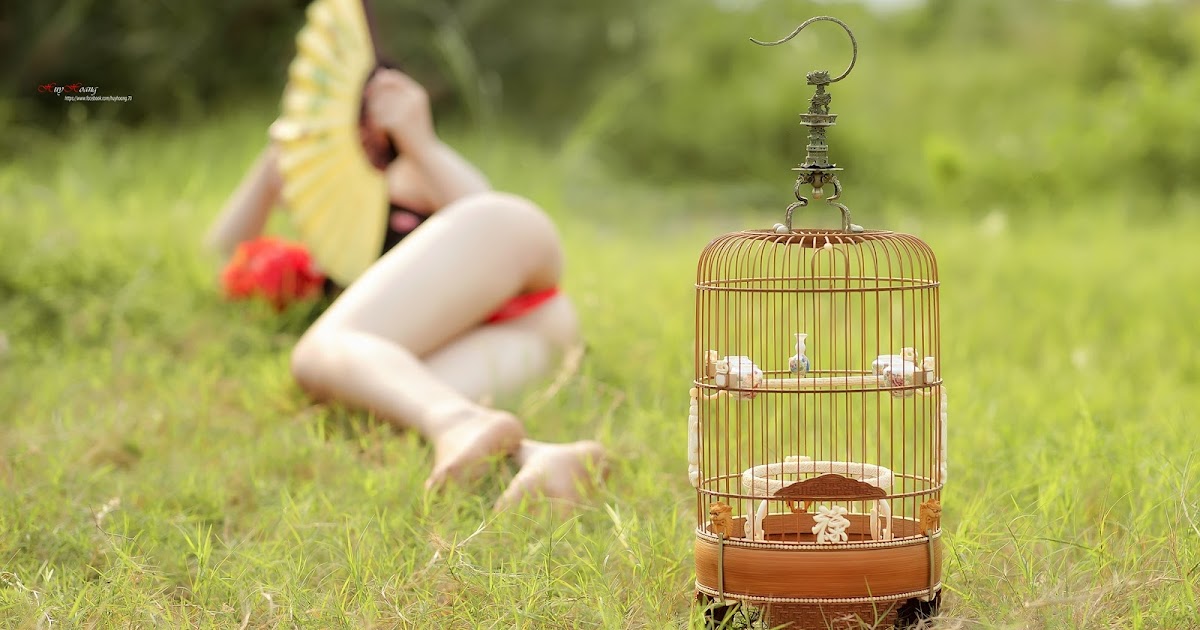 Hot girl…cá chậu chim lồng…