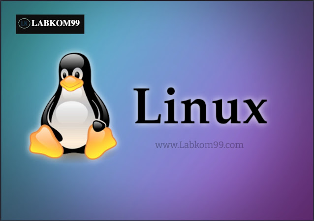 Bagaimana Cara Mengoptimalkan Kinerja Virtual Machine Vmware Linux?