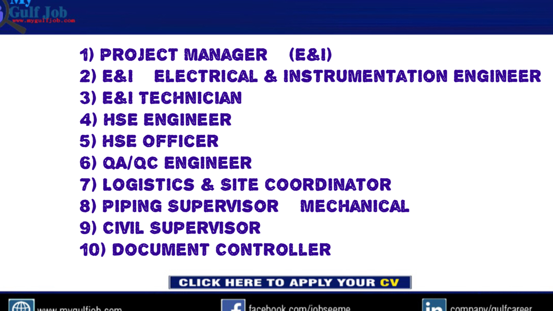 1) Project Manager (E&I) 2) E&I Electrical & Instrumentation