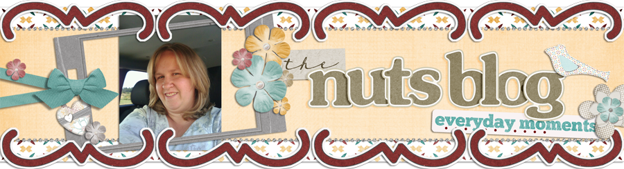 The Nut's Blog