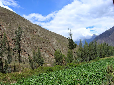 Valles junto al río Urubamba, tren al Machu Picchu, Perú, La vuelta al mundo de Asun y Ricardo, round the world, mundoporlibre.com