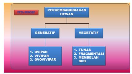 Webblogku Rpp Perkembangbiakan Hewan
