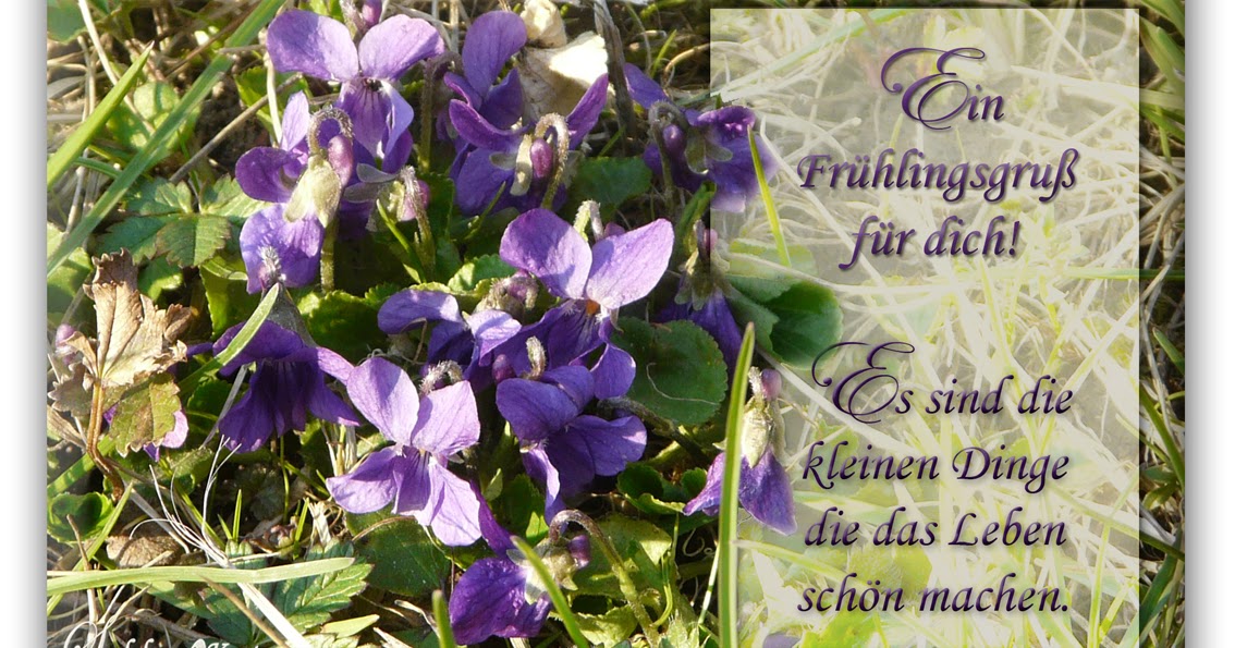 Seelchen Karten und Collagen : Karte Ein Frühlingsgruß für dich!