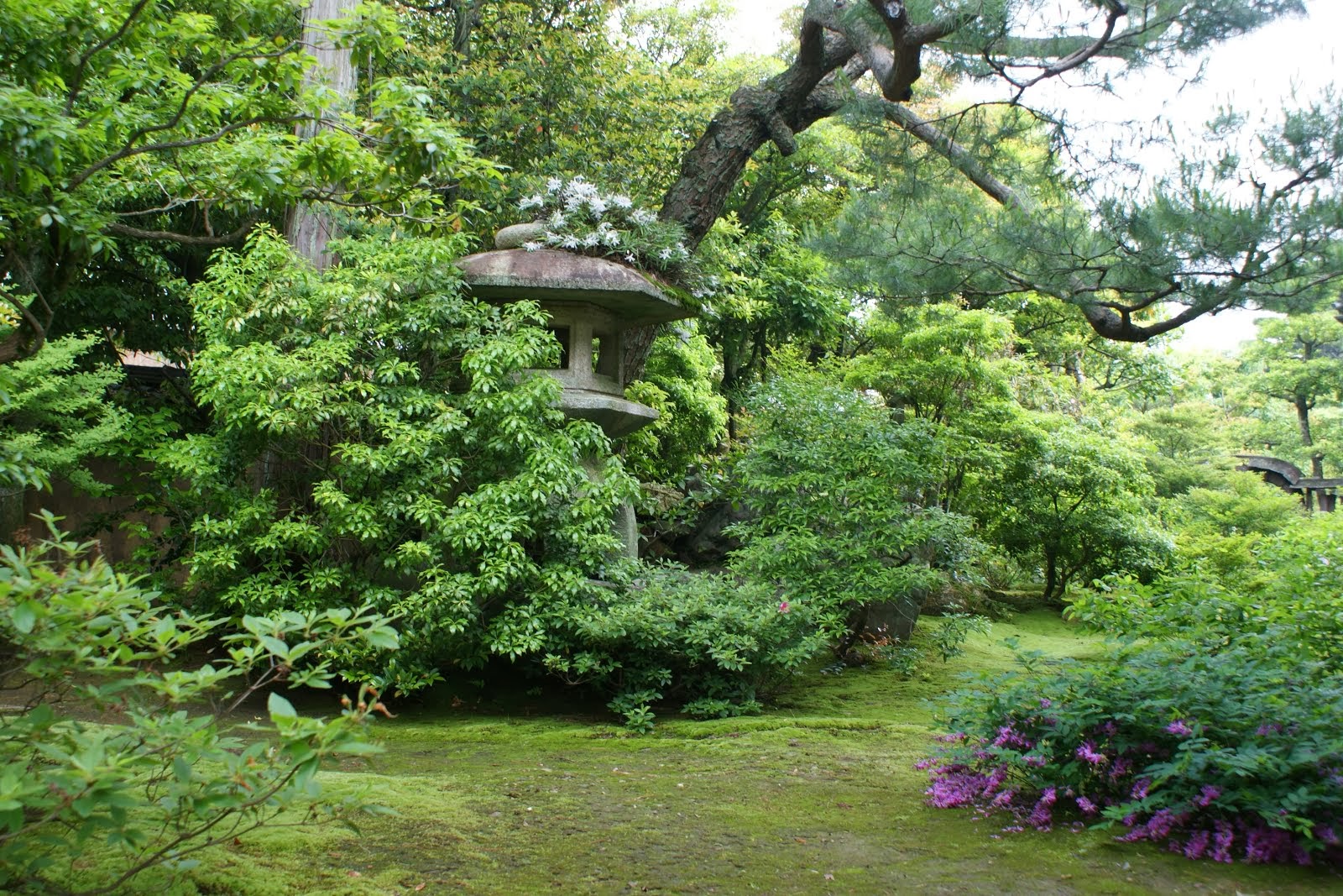 Garden of Shunkoin Temple