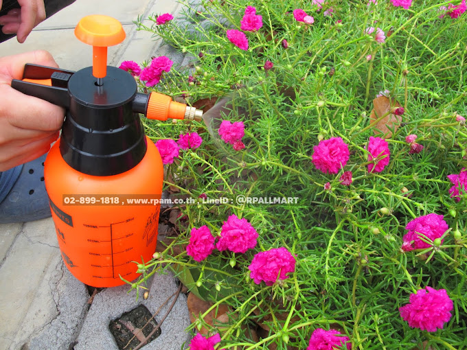 กระบอกพ่นฉีดยา 1 ลิตร ราคาถูก ยี่ห้อ วีโกเทค-1