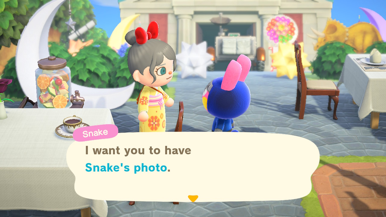 Their Villager Photo! Bonus ANY UNGIFTED VILLAGER That You Want