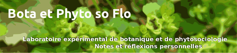 Bota et Phyto' so Flo