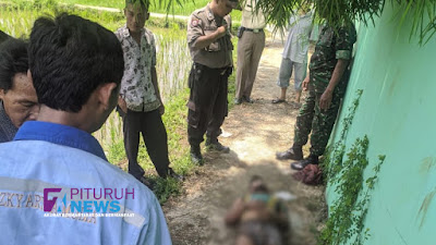 Nekat ke Sawah Dalam Kondisi Sakit, Pencari Belut Ditemukan Tergeletak Tanpa Nyawa di Sawah