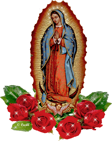 Virgen de Guadalupe - Dic. 12