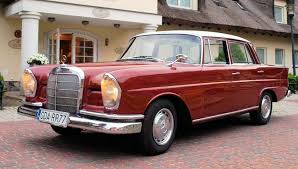 Everyone Loves Rainbow