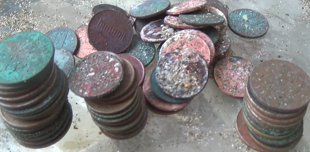 The Treasure Beaches Report Direct From Florida's Treasure Coast. 11/1