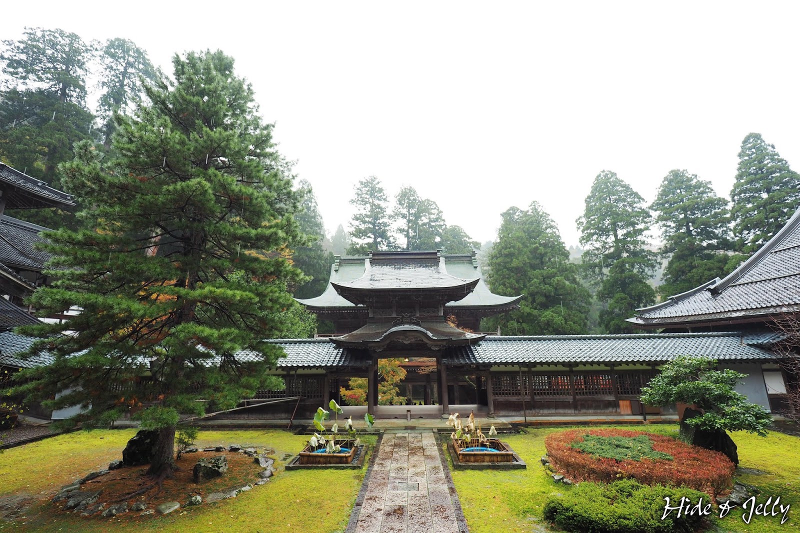 Hide Jelly 17北陸楓葉季day5 福井 古老 莊嚴的曹洞宗大本山 永平寺