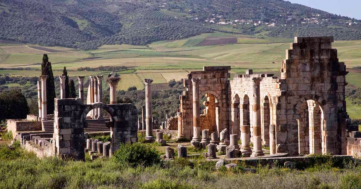 Bon sens et Déraison VOLUBILIS A MARSEILLE Bon sens et Déraison VOLUBILIS A MARSEILLE