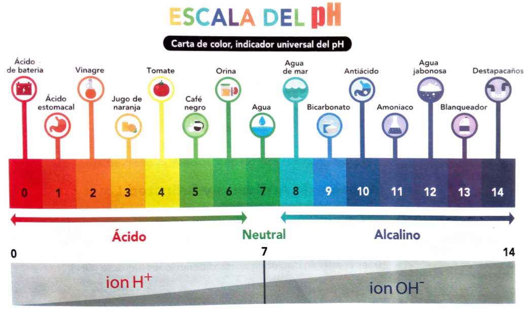 El maravilloso mundo de la ciencia La química en nuestro entorno pH y su escala logarítmica El maravilloso mundo de la ciencia La química en nuestro entorno pH y su escala logarítmica