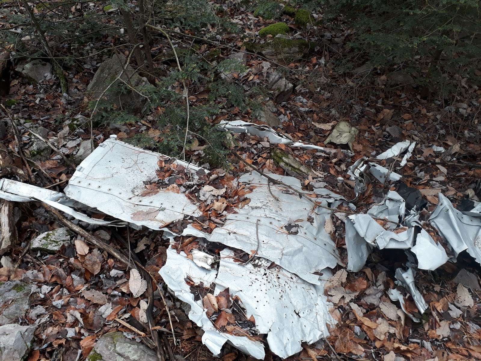 Travel with Kevin and Ruth! Hiking in the forest and found an old