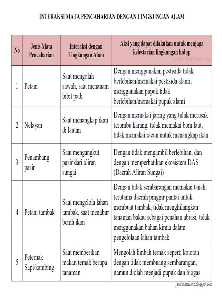 Bagian Bagian Cerita Kisah Petani Cabai Sukses Untungnya Menggiurkan Ilmusosial Id