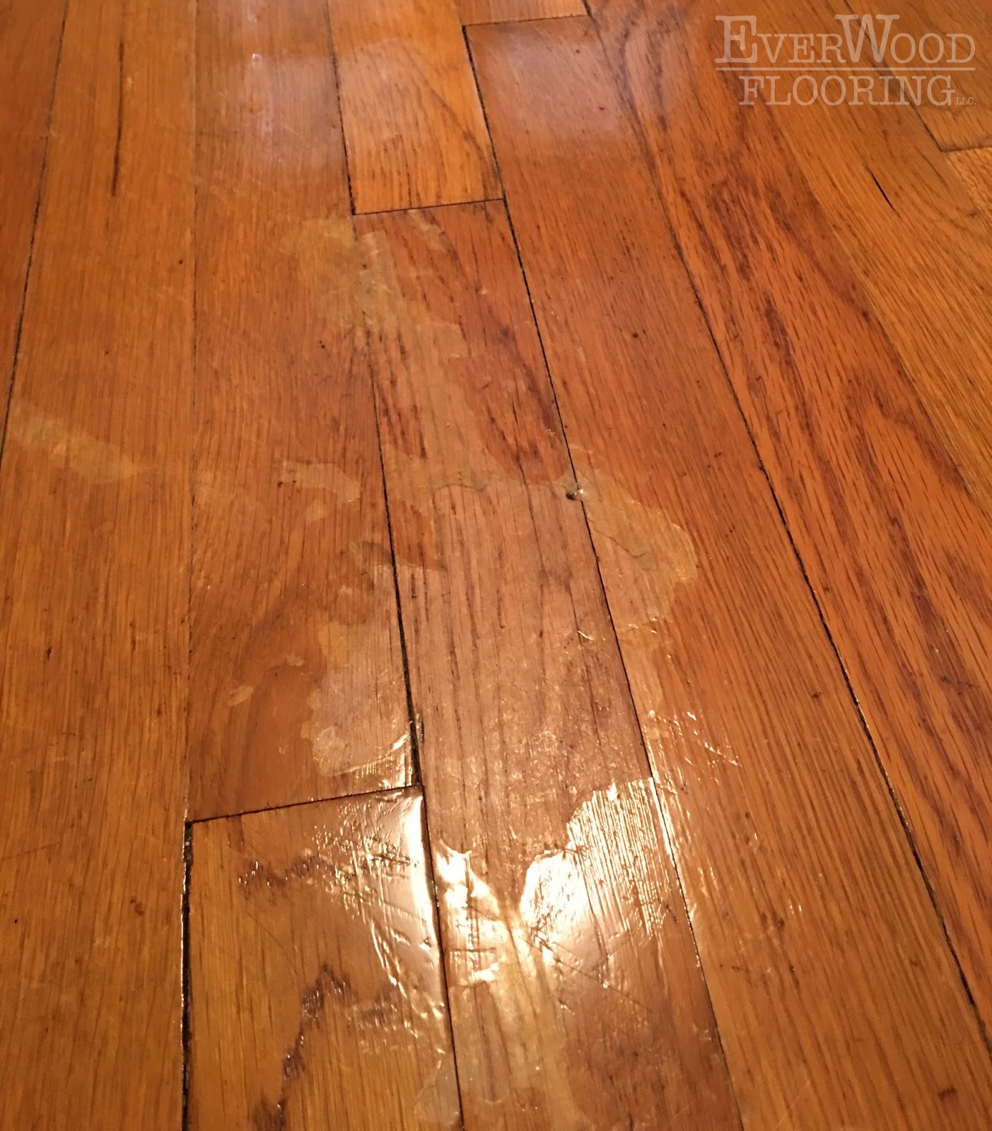 EverWood Flooring Project Profiles Install & Refinish White Oak with