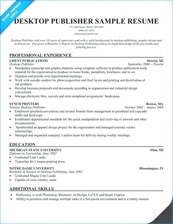 Examples Of Great Resume Templates - Examples Of Great Resume Examples Of Great Resumes Inspirational Executive Resume Examples Good Resume Examples Simple Resume A Of Examples Of Resumes 