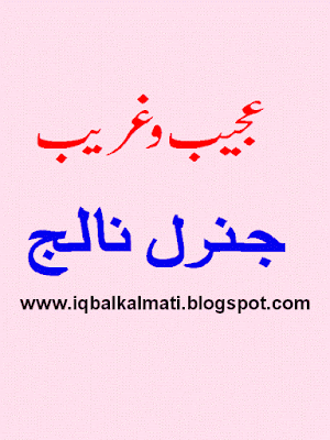 Amazing General Knowledge Urdu PDF Free Download