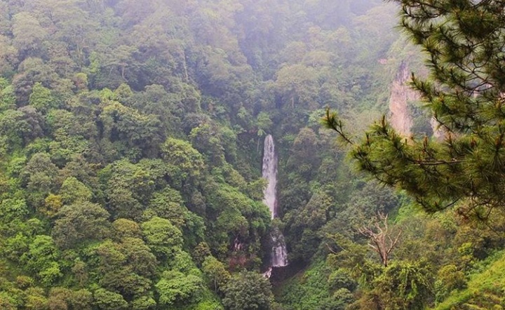 Coban Parang Tejo Dau Malang Tiket Masuk dan Lokasi
