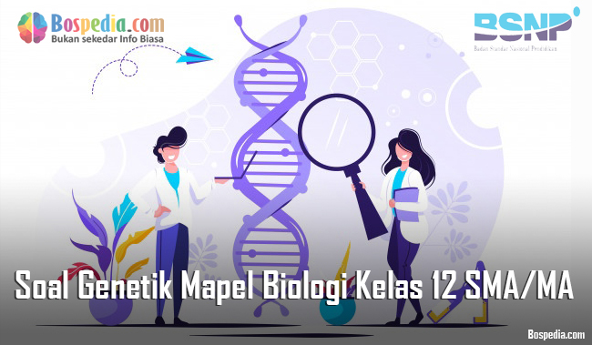 Lengkap Soal Genetik Mapel Biologi Kelas 12 Sma Ma Bospedia