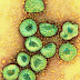 कोरोना वायरस के विषय में किया जागरूक   Made aware about corona virus