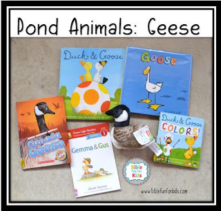 http://www.biblefunforkids.com/2018/07/god-makes-pond-animals-geese.html