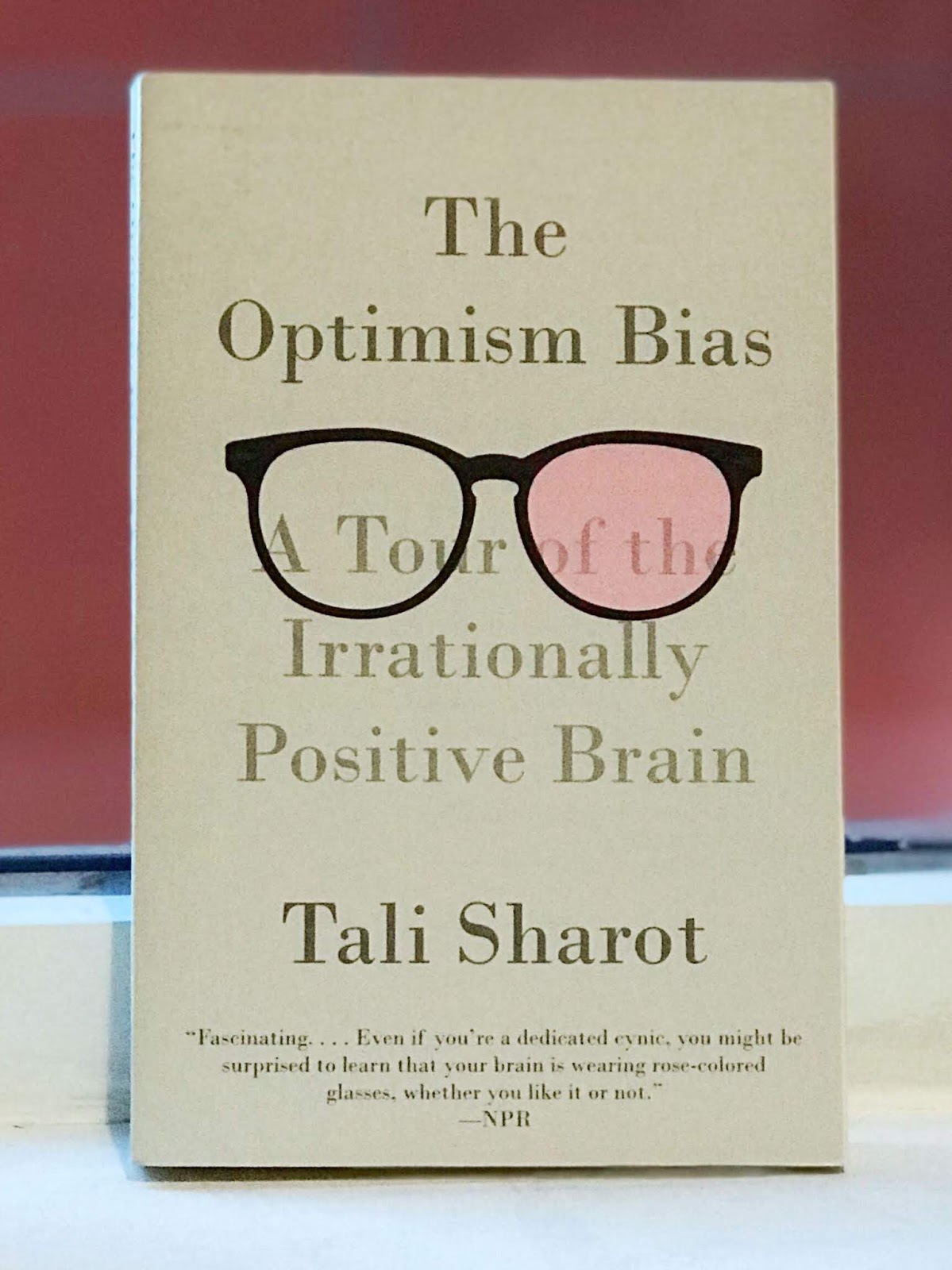 optimism bias optimism bias
