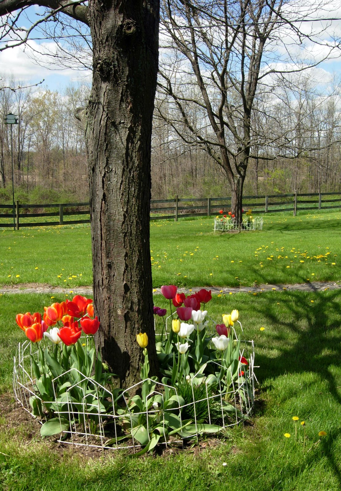 DeCampStudio: May 2011