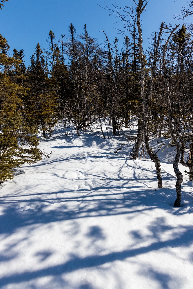 Bitstop Upper Three Corner Pond Park Trail