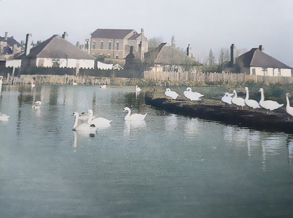 Wolverhampton to Tipton, Wednesbury Oak Loop & Ocker Hill Branch