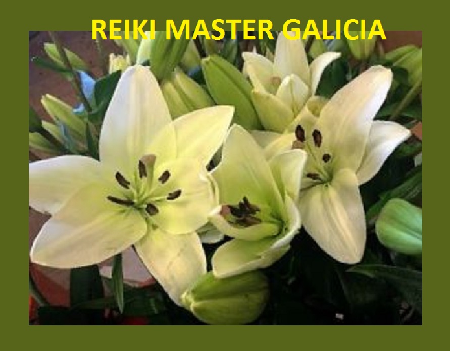 REIKI MASTER GALICIA Comunidad: MIRA LO QUE NO SABIAS SOBRE LA FLOR DE