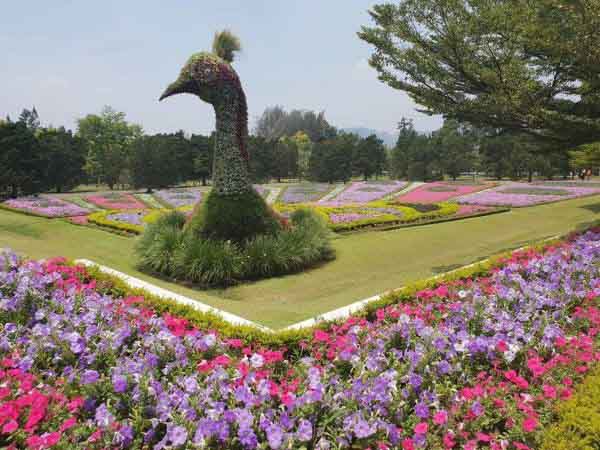 Taman Bunga Nusantara Bogor