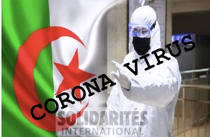 Argelia lidera la iniciativa "Grupo de Embajadores de África" en la ONU para enfrentar la crisis de Coronavirus y sus consecuencias
