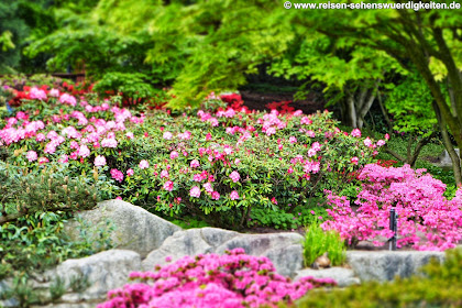 31 Hintergrundbilder Pc Blumen Besten Bilder Von Ausmalbilder