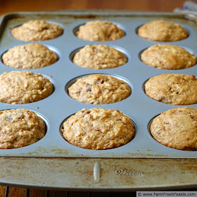 healthy whole grain sugar free carrot cake muffins in the pan after baking