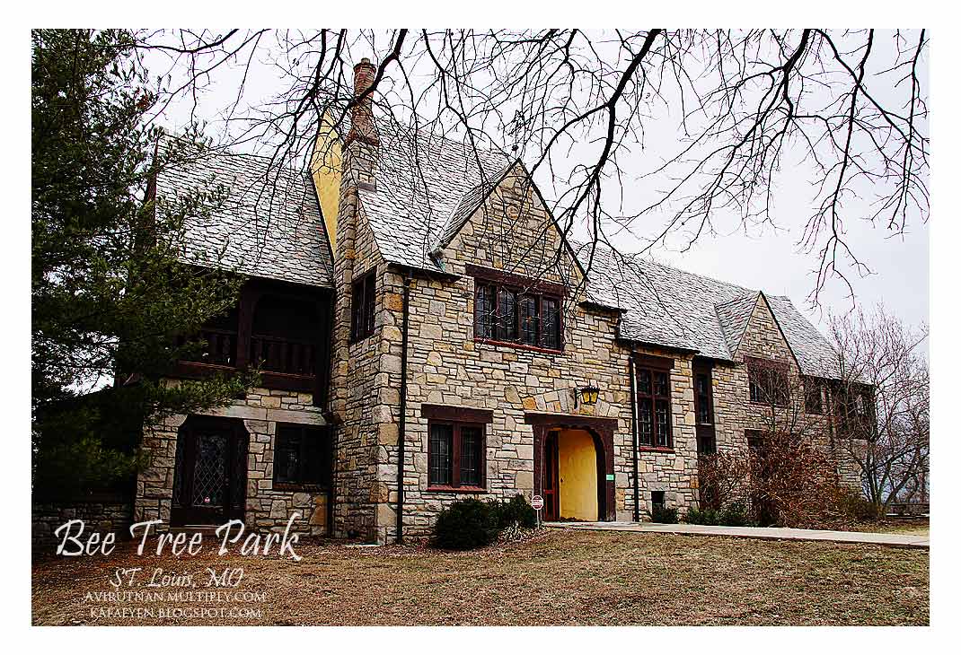 KaFaeYeN Bee Tree Park, St. Louis, MO