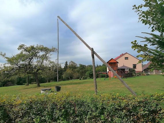 Żuraw zuraw