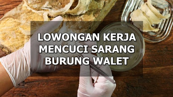 Lowongan Kerja Mencuci & Membersihkan Sarang Walet Pontianak