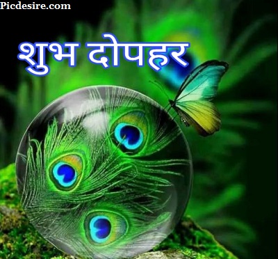 Good afternoon in Hindi Images for Social media Good afternoon in Hindi Images for Social media