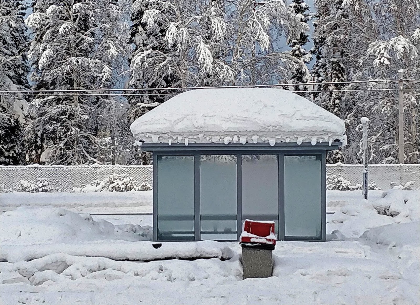 the viewing deck Extremely Cold (36'C) Short Visit in Fairbanks, Alaska