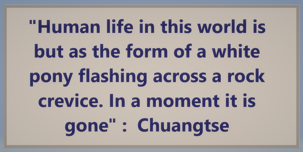 Freedom and Flourishing What did Yeats mean by "Horseman, pass by"?