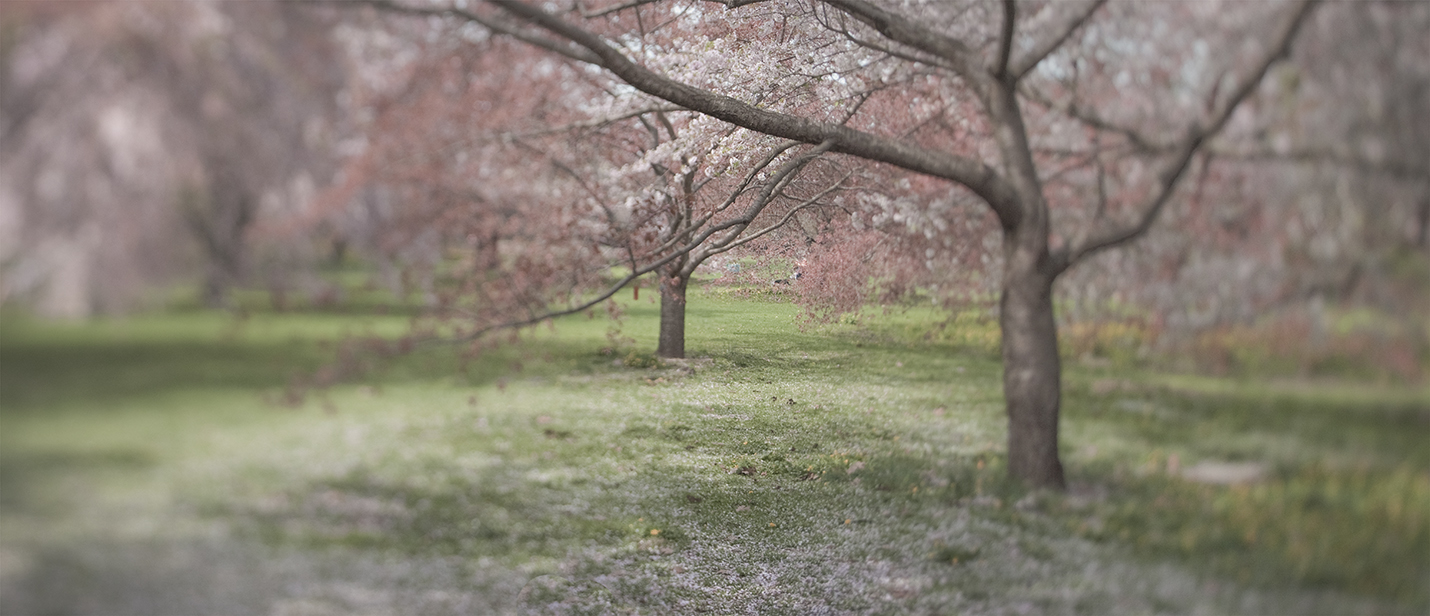 Schaub's Photo Blog ReviewHahnemuehle Bamboo Fine Art Inkjet