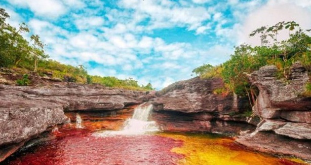 Kumpulan Soal Dan Jawaban Buku Paket Ipa Kelas 7 Bab Interaksi Makhluk Hidup Dengan Lingkungan Kedai Mipa