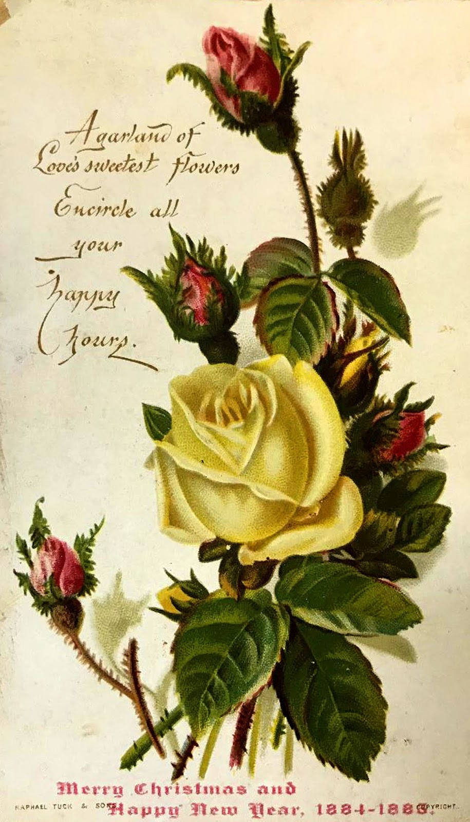 Christmas card printable cards remodelaholic holiday sheet bloglovin choose frame The Graphics Monarch: Vintage Christmas Greetings Printables Roses Holly Snow Birds