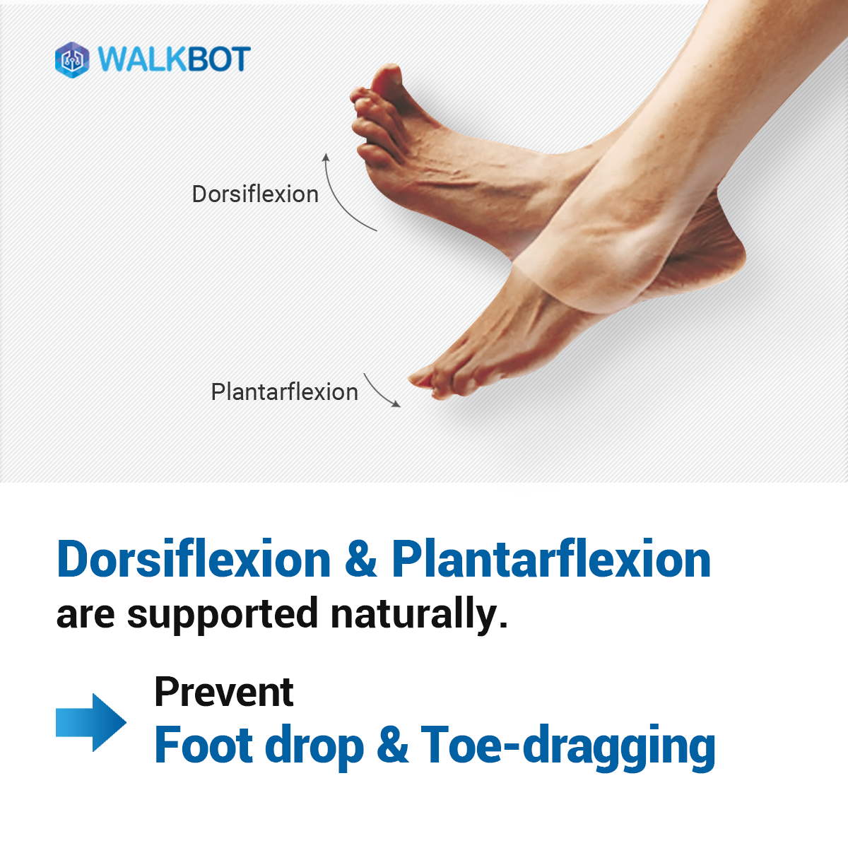 Importance of Ankle joint in gait training