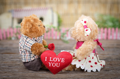 Valentines day gift ideas for her, Valentine day ideas for couples and gifts for him, teddy bear day