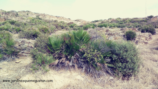 Pendientes del sendero